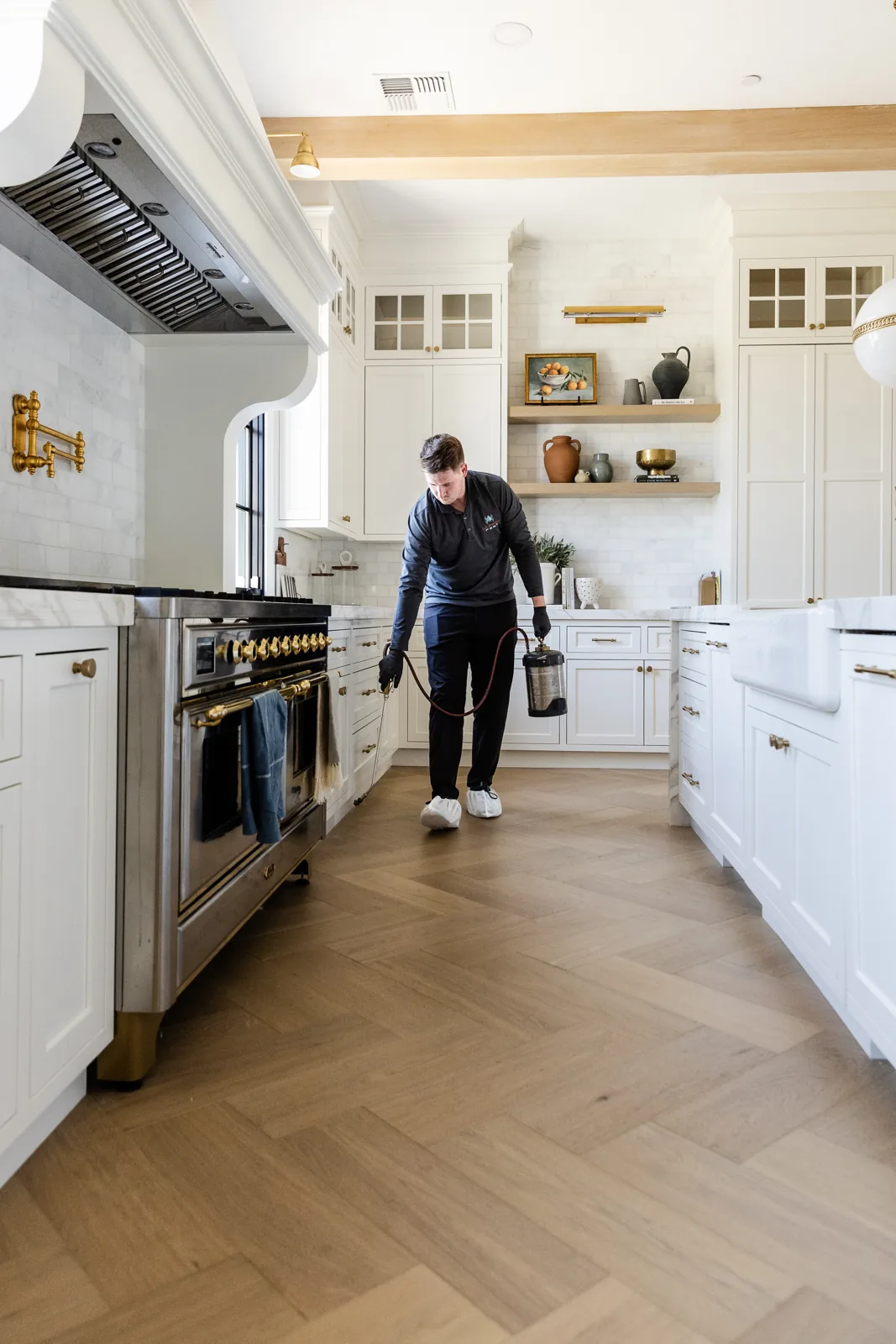 Treating an Arizona home kitchen for flies