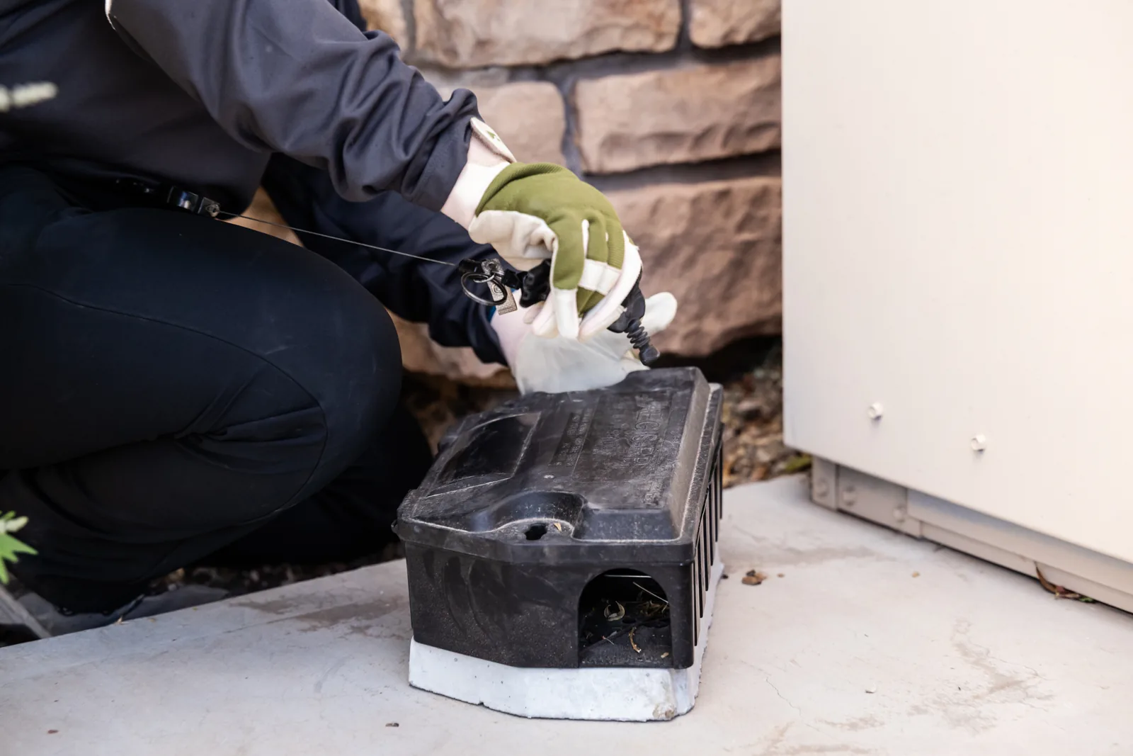 Servicing an exterior station during mite control in Arizona