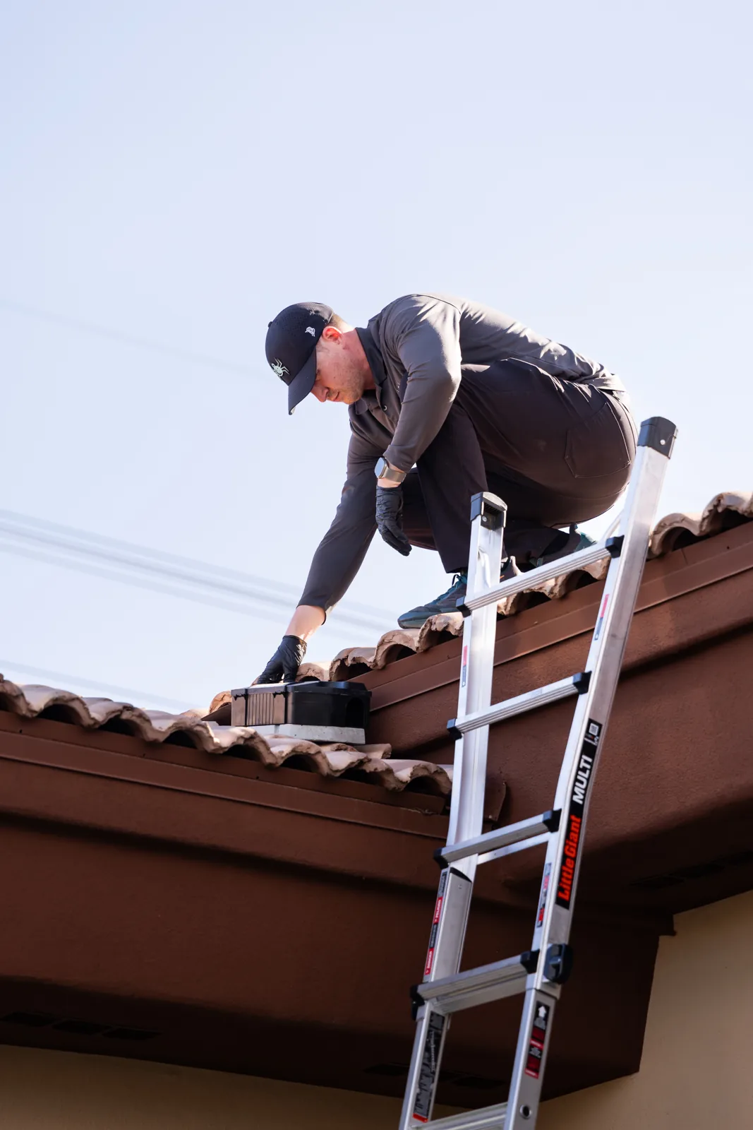 Inspecting the roofline for wasps at an Arizona home