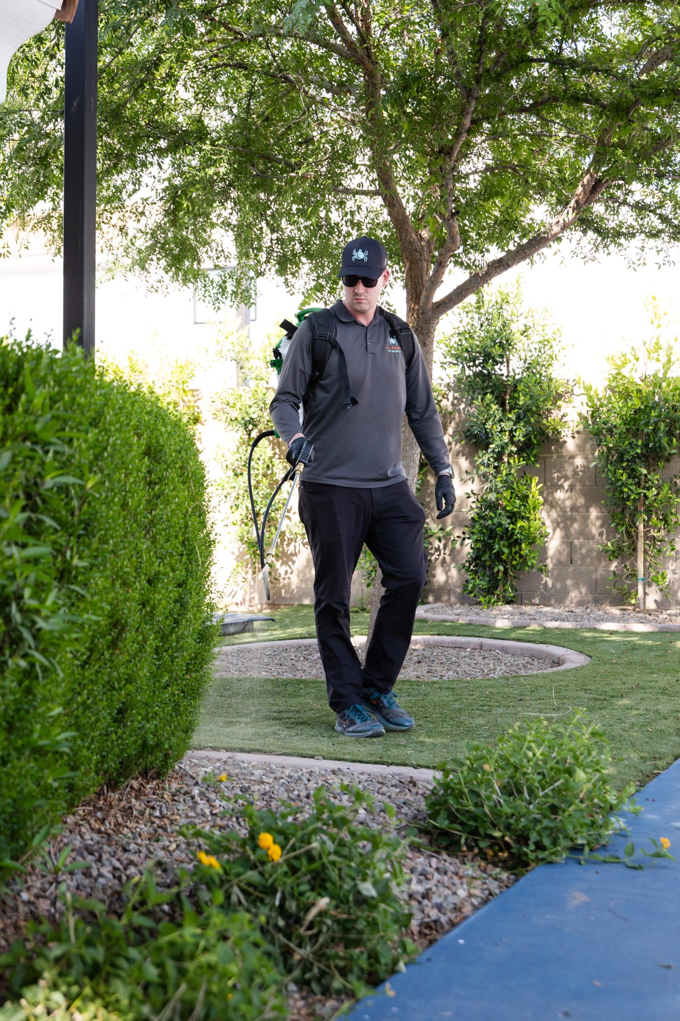 Spider prevention tips for Arizona homes