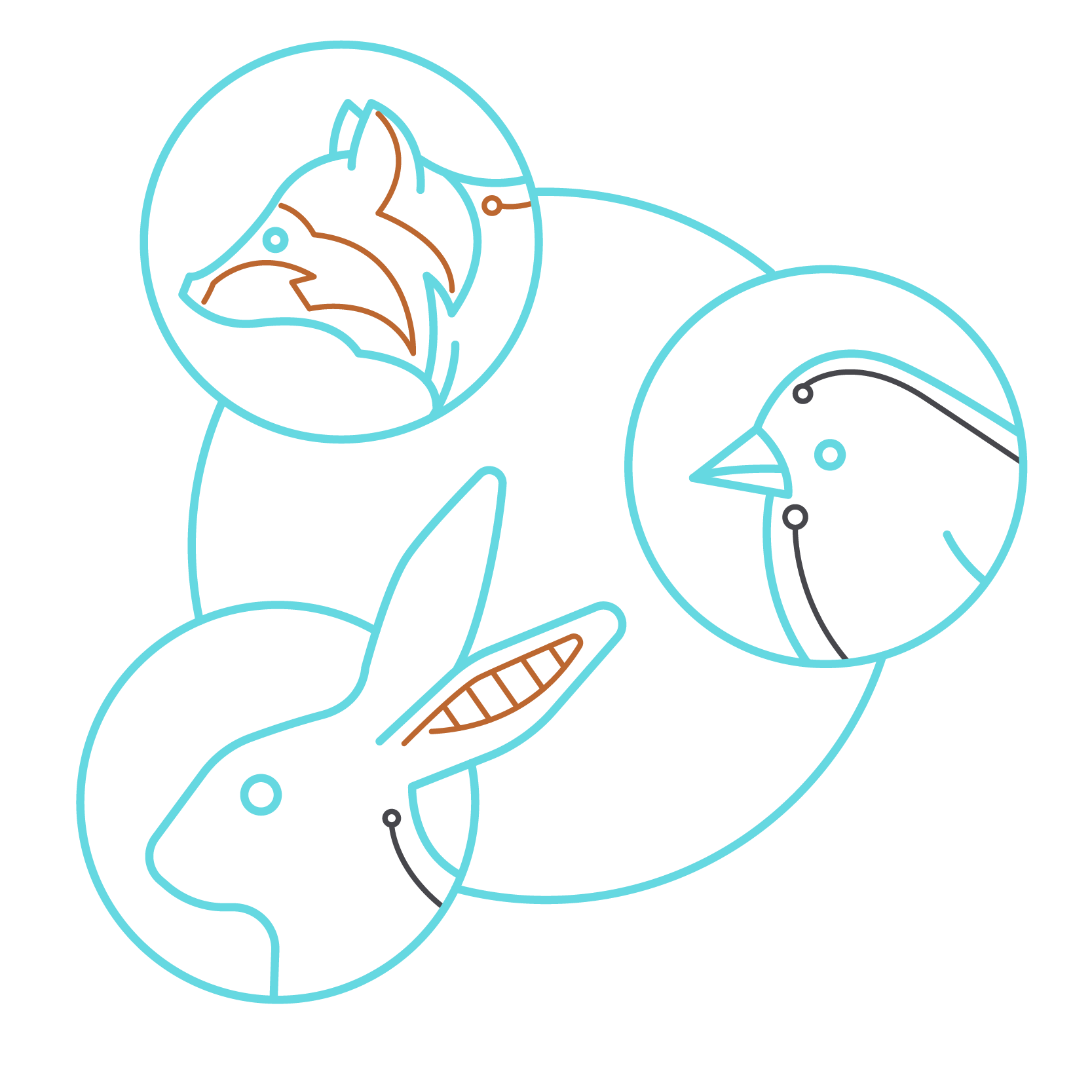 Wildlife